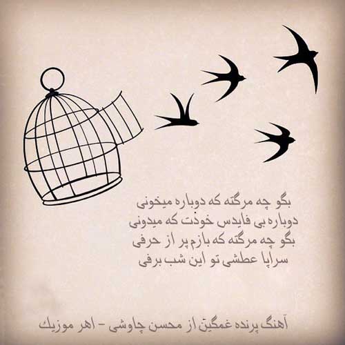 آهنگ پرنده غمگین از محسن چاوشی