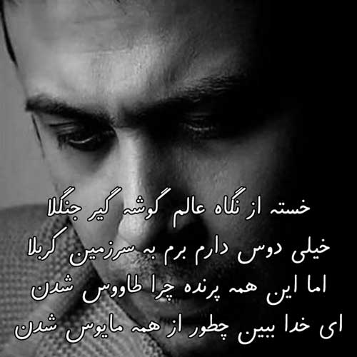 آهنگ راه کربلا از محسن چاوشی