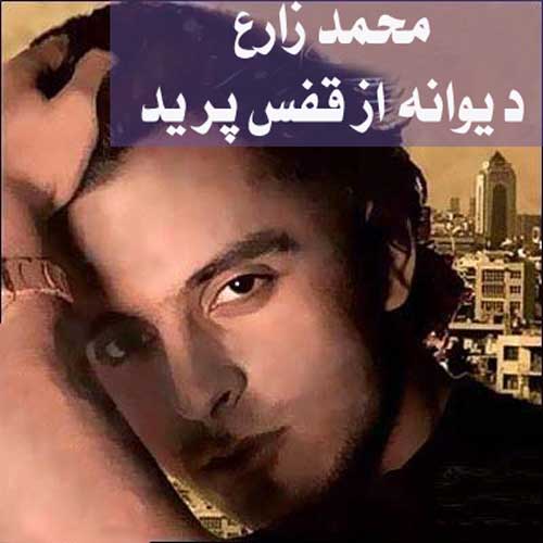 آهنگ دیوانه از قفس پرید از محمد زارع